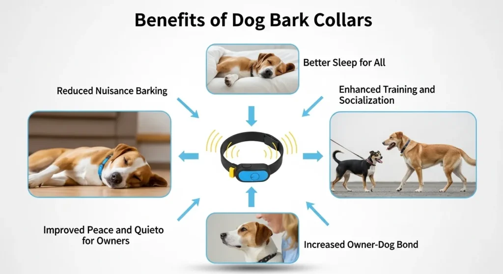  Benefits of Dog Bark Collars