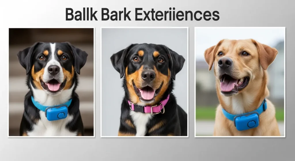  Dog Bark Collar User Experiences