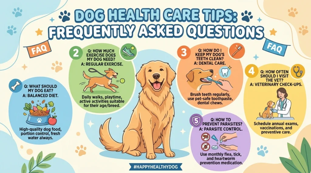 Dog Health Care Frequently Asked 202605191057
