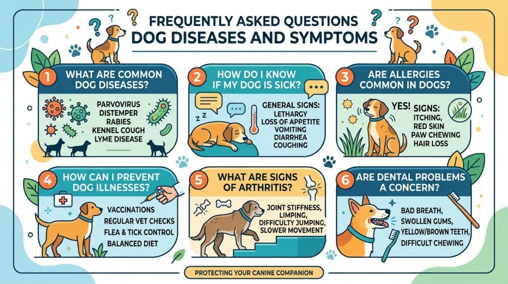 Frequently Asked Questions About Dog Diseases and Symptoms