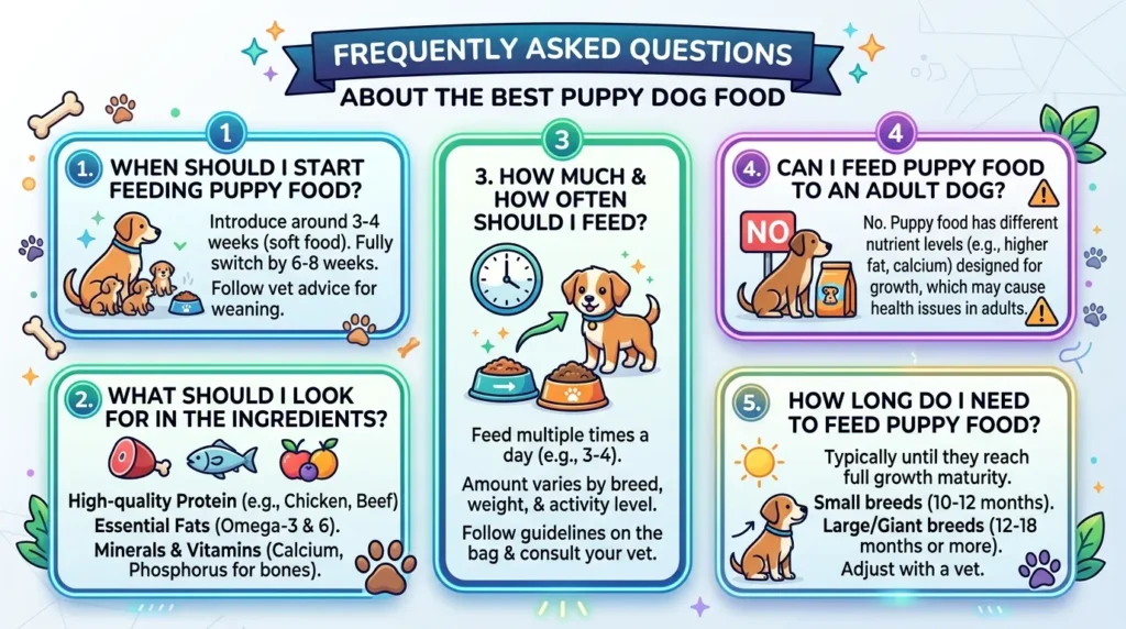 Frequently Asked Questions About the Best Puppy Dog Food