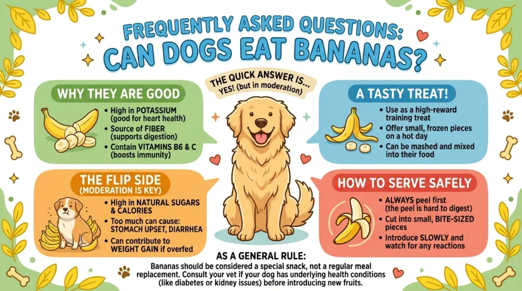 Frequently Asked Questions: Can Dogs Eat Bananas?