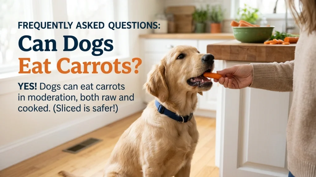 Frequently Asked Questions: Can Dogs Eat Carrots?