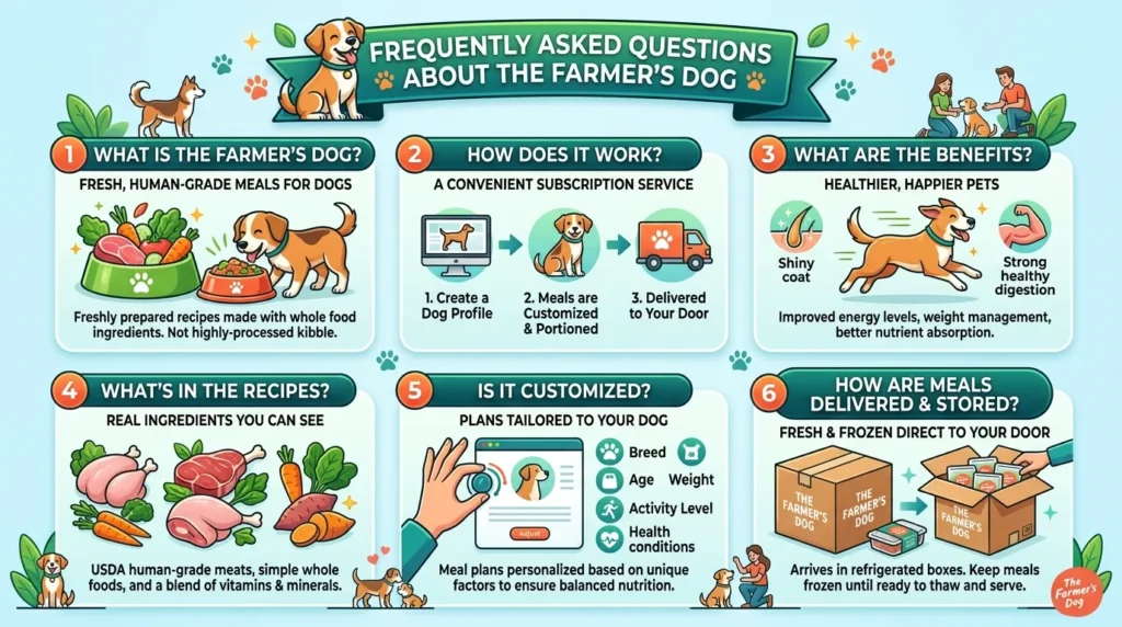 Frequently Asked Questions About The Farmer's Dog