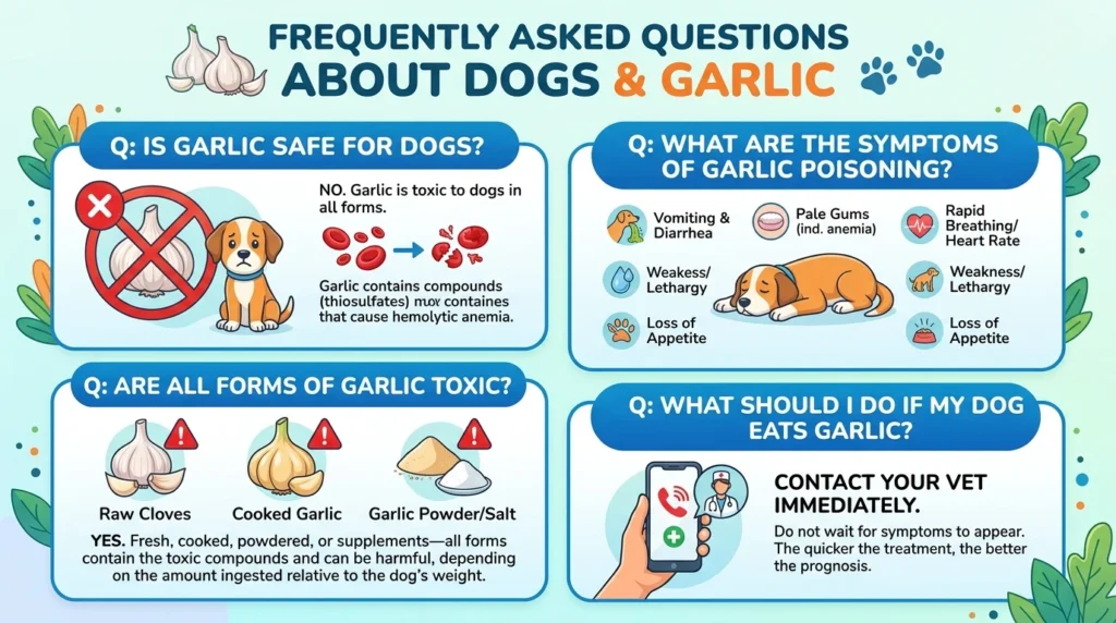 Frequently Asked Questions About Can Dogs Eat Garlic