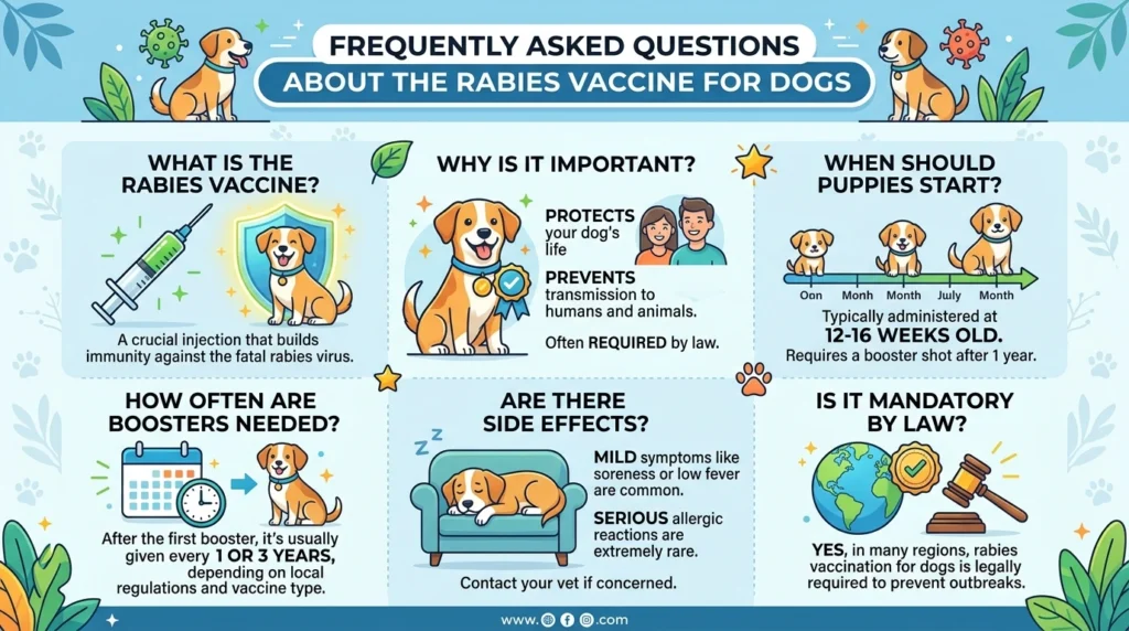 Frequently Asked Questions About the Rabies Vaccine for Dogs